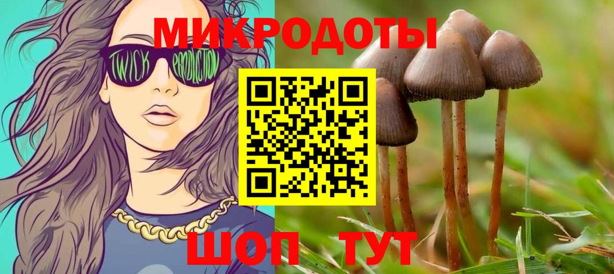 Галлюциногенные грибы мицелий  Вход с VPN  Пятигорск 